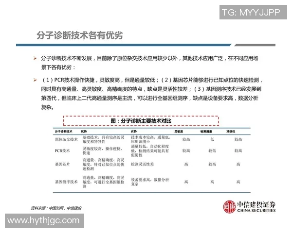 北京篮球队灵活性分析：战术变换与球员适应能力的深度探讨